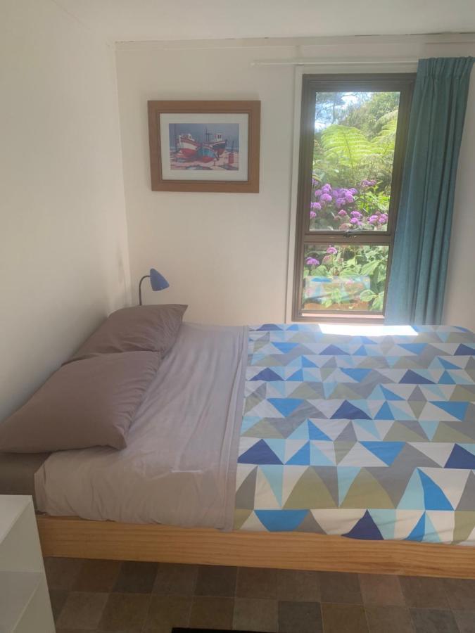 Pickled Parrot - Boutique Hostel Paihia Exterior photo