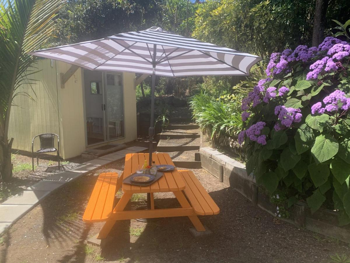 Pickled Parrot - Boutique Hostel Paihia Exterior photo